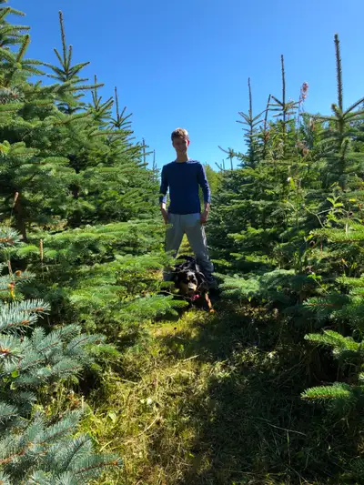 Unique opportunity to own an established part-time tree farm, develop, or just use the land. It's a...