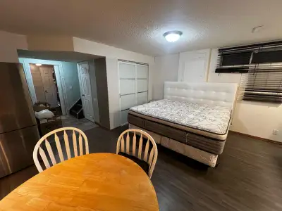 1 Bed and 1 Bath Studio Basement for Rent
