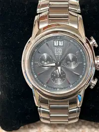 ESQ stainless steel watch