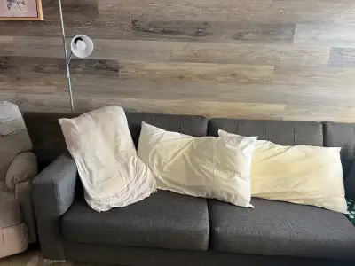White Cushions for 3 of them is $15, View more