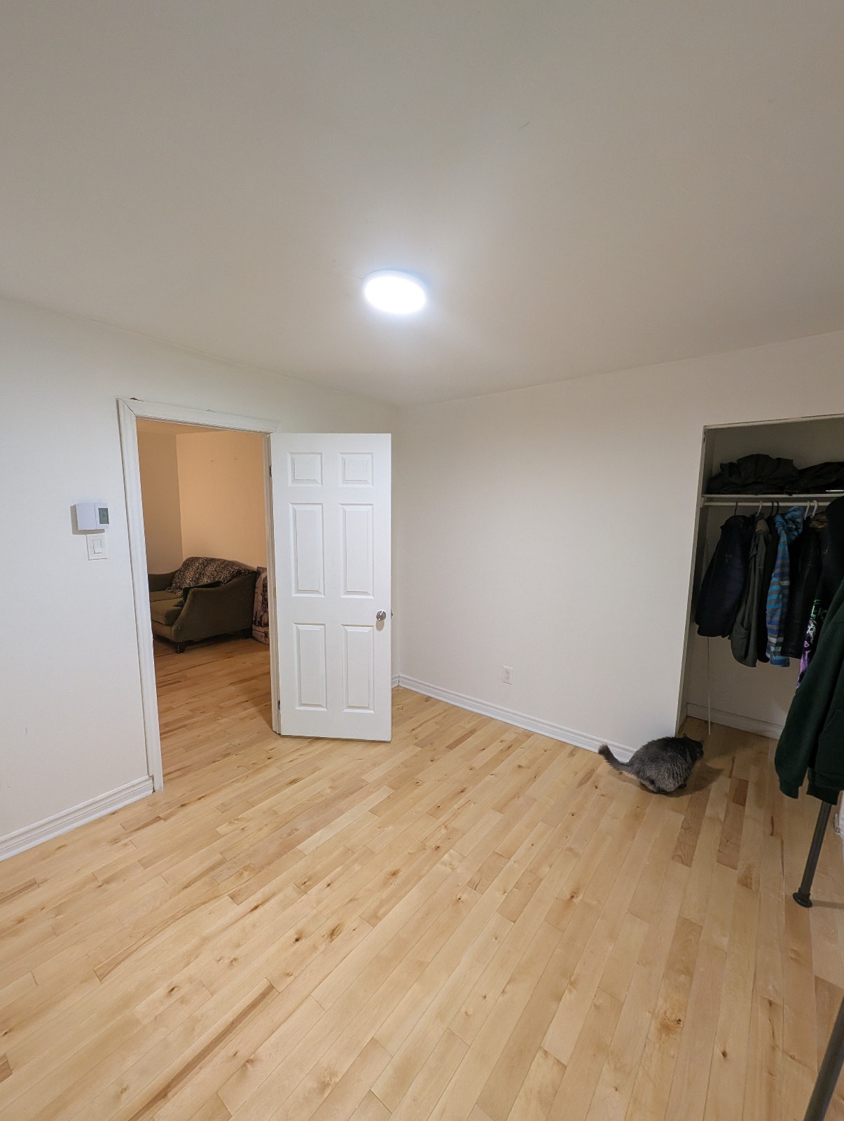 Chambre à louer entre métro Préfontaine / Frontenac — photo 3