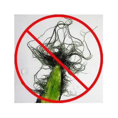 STOP AQUARIUM ALGAE (BBA + GREEN HAIR ALGAE + OTHERS), View more