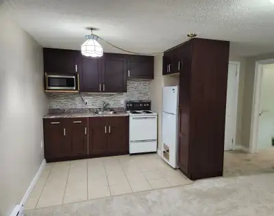 Central 1 Bedroom Please read ad.