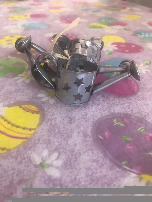 Napkin Holders - Watering Cans579665157696399362