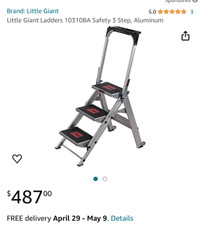 Little giant ladder 