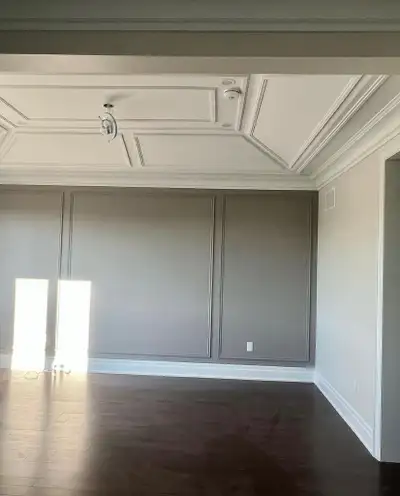 Professional and experienced painters are availabe for your house, condos, basements, commercial sit...