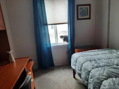 Room for Rent: Barrhaven: Algonquin or Carleton Student