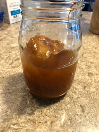 Kombucha SCOBY