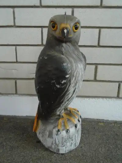 Hawk Decoy, View more