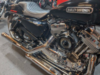 2008 Harley Davidson sportster XL 1200 -REDUCED