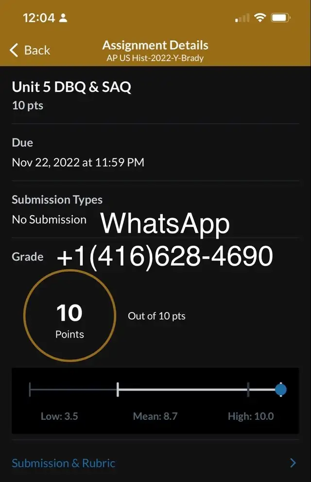 Urgent essay help, Online Coursework, assignment help65408610836739122