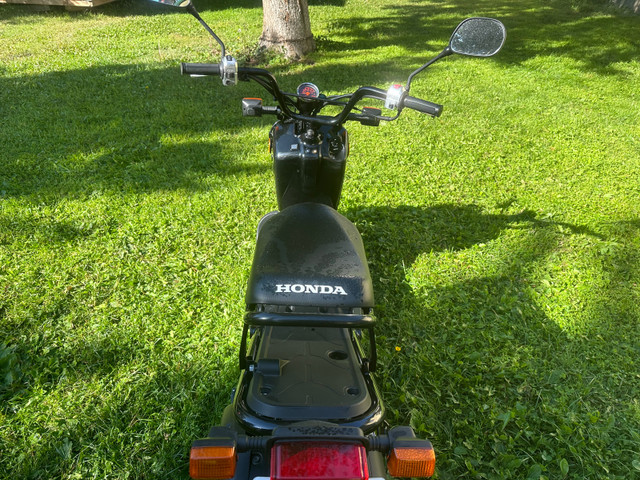 Scooter 2015 Honda ruckus in Scooters & Pocket Bikes in St. Albert - Image 3