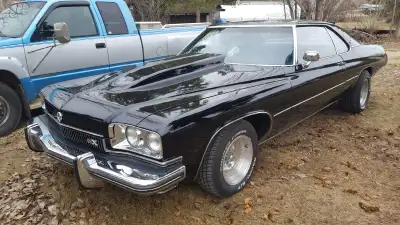 1973 Buick Centurion 2 dr Hard top 61000 miles New paint 5 yrs ago New rims and Tires Run and Drives...