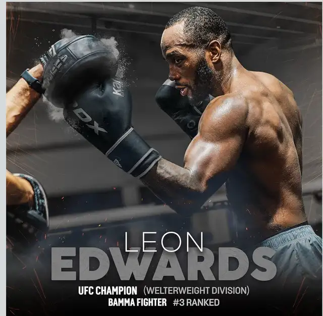 boxing gloves - RDX 62863284149122122