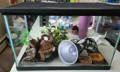 Terrarium 10 gallons, View more