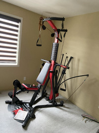 Système d'entraînement Bowflex (PR3000 Home Gym)