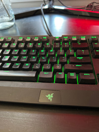 RAZER Mechanical Gaming Keyboard and Mouse