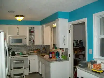 Experienced Painter who loves to paint..433376664633354241