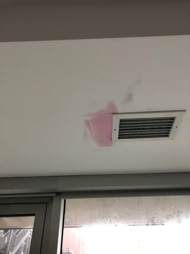 Pro painting