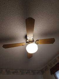 Ceiling fan w light