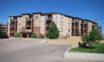 modern 1 bedroom condo for rent