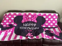 Minnow mouse birthday banner (2 years) 
