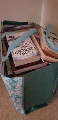 Two bag of assorted books