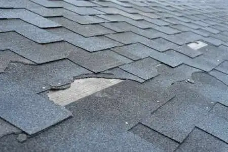 Roof Repair Replacement Experts630056639138571210