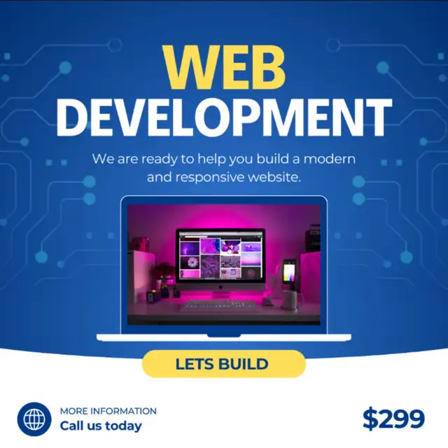 Professional Website Development Service -$299
