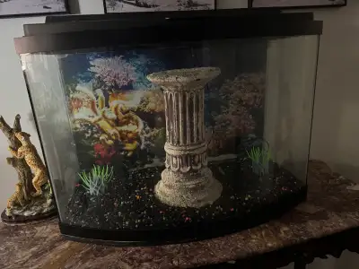 Price is dropped from the original $500 down to $300. I have a 50 gallon fish tank with a curved fro...