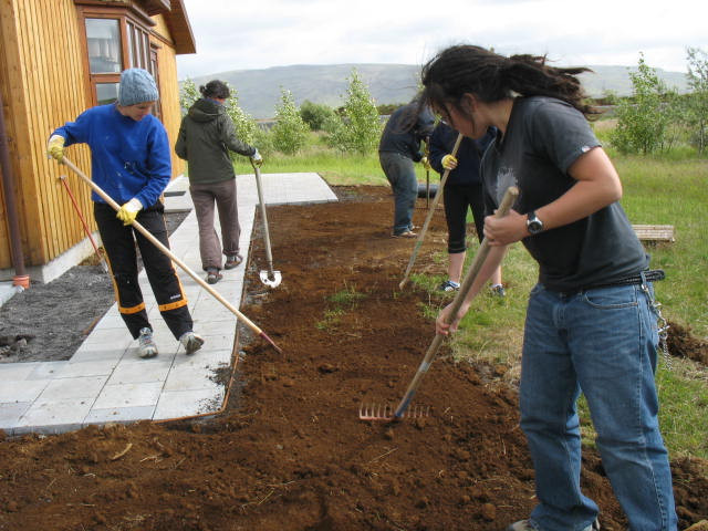 Organic gardening and forestry activities in Iceland in Volunteers in UBC - Image 3