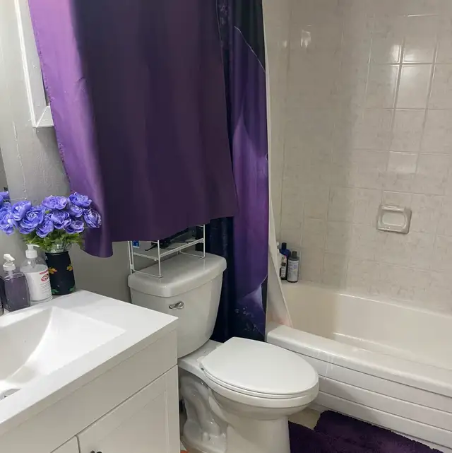 FURNISHED Large Room for Rent in Room Rentals & Roommates in Ottawa - Image 6