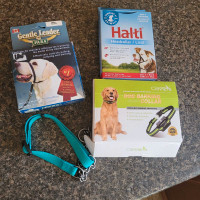 Dog accessories 