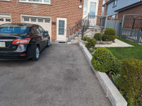 1 bedroom Walkout basement apartment available for rent 