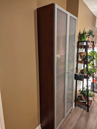 Billy Bookcase with Glass doors from Ikea