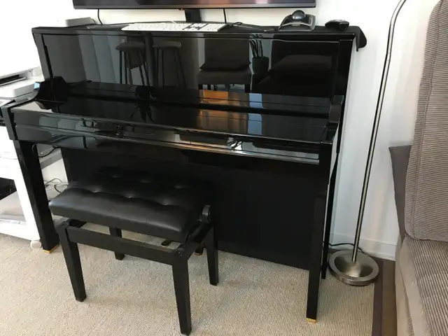 Roland LX-17 Piano for sale - Excellent condition. $3500* in Pianos & Keyboards in City of Toronto - Image 3