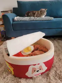 Cute Ramen Bowl Cat Bed
