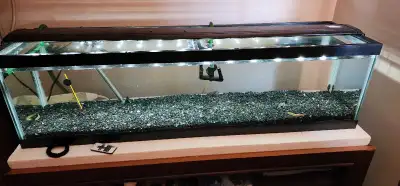 33 gallon long with stand/glass lids/gravel/light, Voir plus