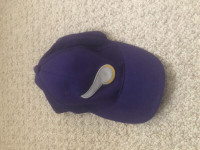 Minnesota Vikings baseball hat NFL $10 bucks