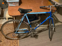 Adult Bike - Fiori - Used