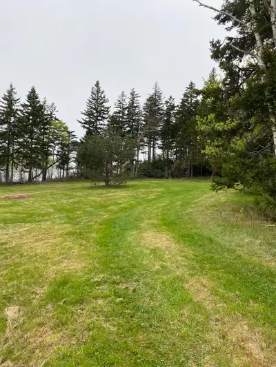 Dry Campsite – $30/night, $50 for 2 nights. 1 week $150. Availability any time during August 10-18,...