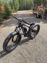 Electric Bike, 26”, Greenway $1000