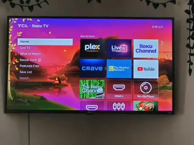 Roku 50" smart TV + wall mount, feet, and cable , View more