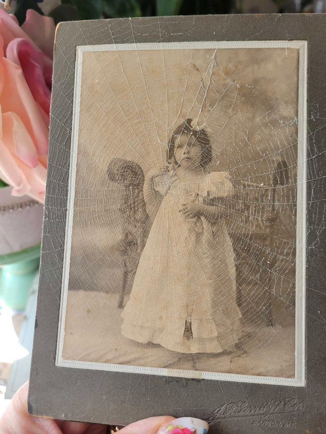 Victorian CDV photo with spider web in Arts & Collectibles in Kitchener / Waterloo