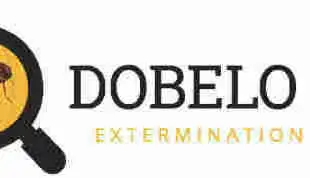 Say goodbye to pests – without breaking the bank! Dobelo Extermination is a proud Canadian small bus...