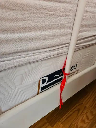 250$  includes Queen bed,  Tempur-Pedic matress and box spring., View more