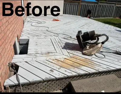 Professional painting services , View more