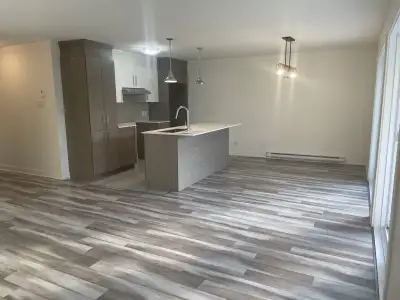 Très grand 4.5 dans Lafontaine