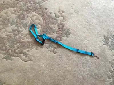 Dog Bike Leash and a car seat belt, View more