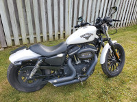 Harley sportster iron 